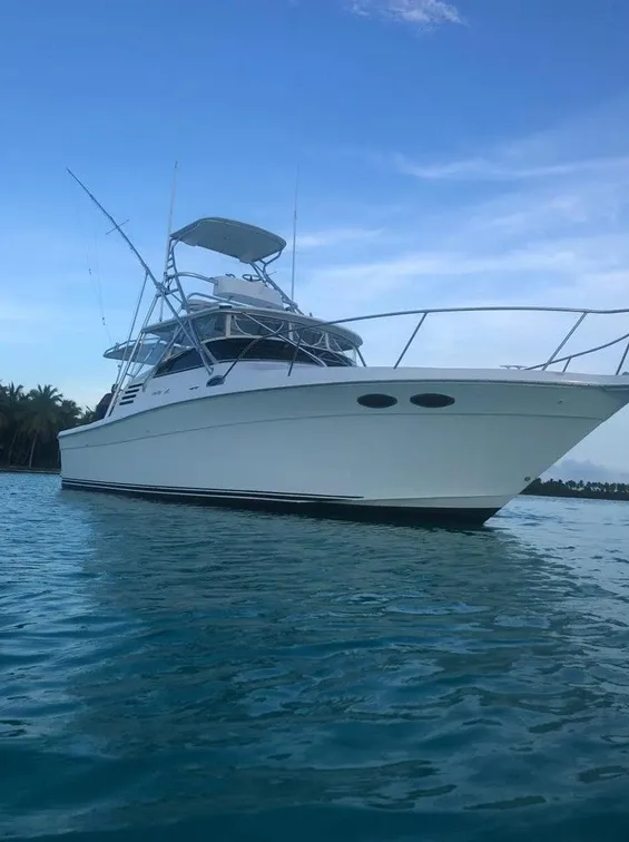 La Pichona Mietboot - 2