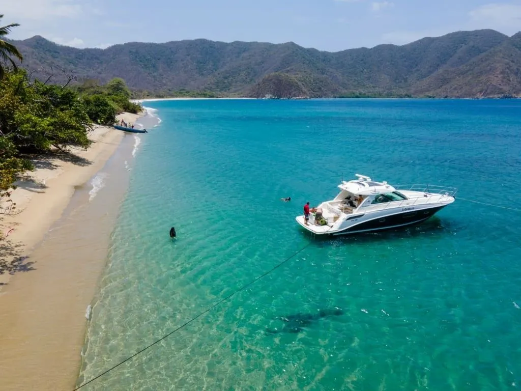 Charter a 14.4m Motor Yacht Sea Ray 43 in Santa Marta