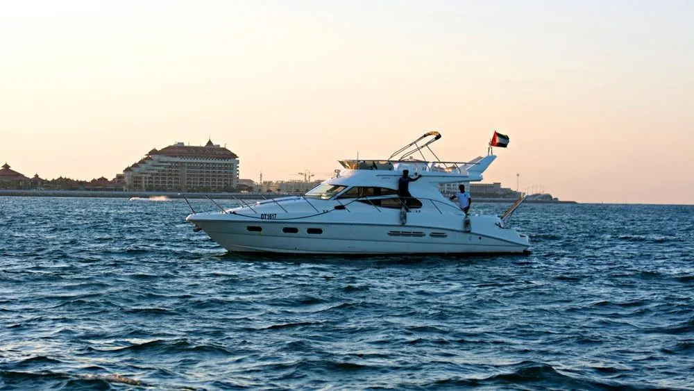 Чартер Cozmo 2 - 5