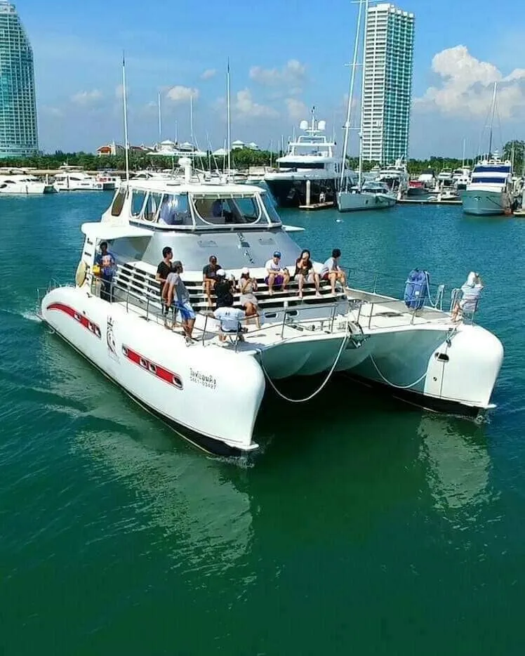 Lion King Charter Boat