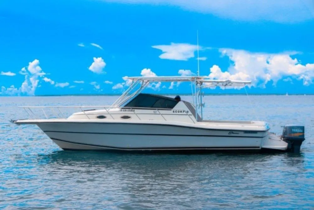 Scorpio Charterboot - 5