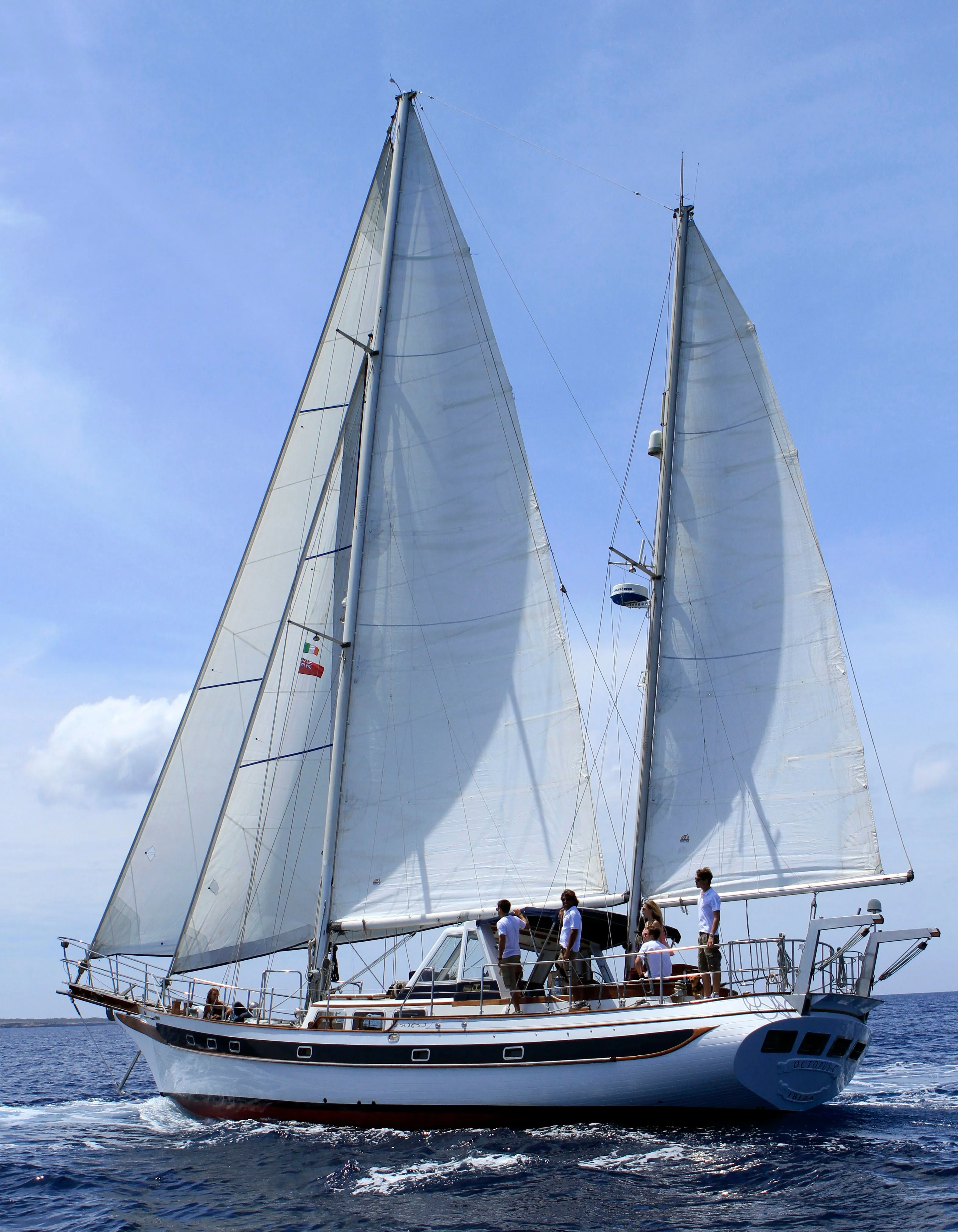Octopus C Charter Boat