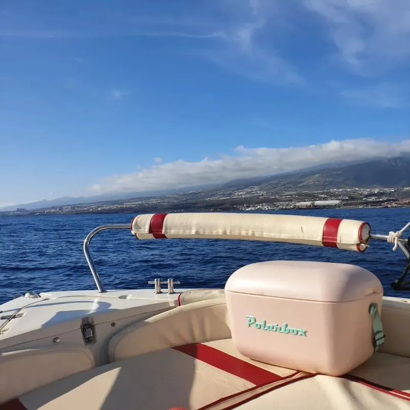 Rent a 5.2m Motor Boat in Playa de las Americas