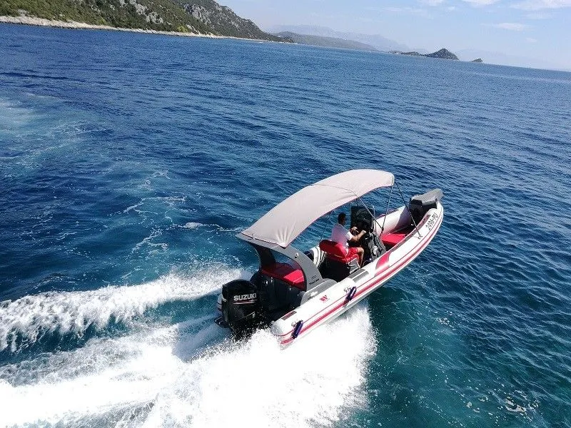 Tiger Marine 750 top line Charter Boat