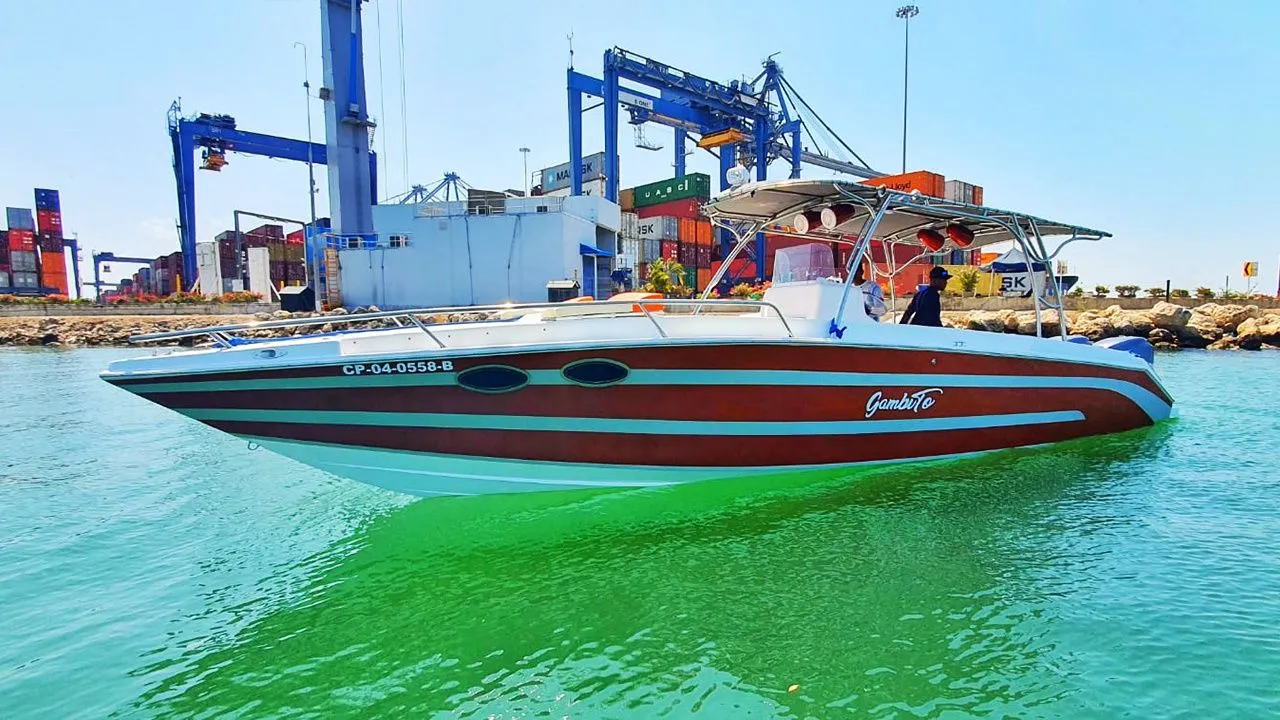 Gambito Charter Boat - 1