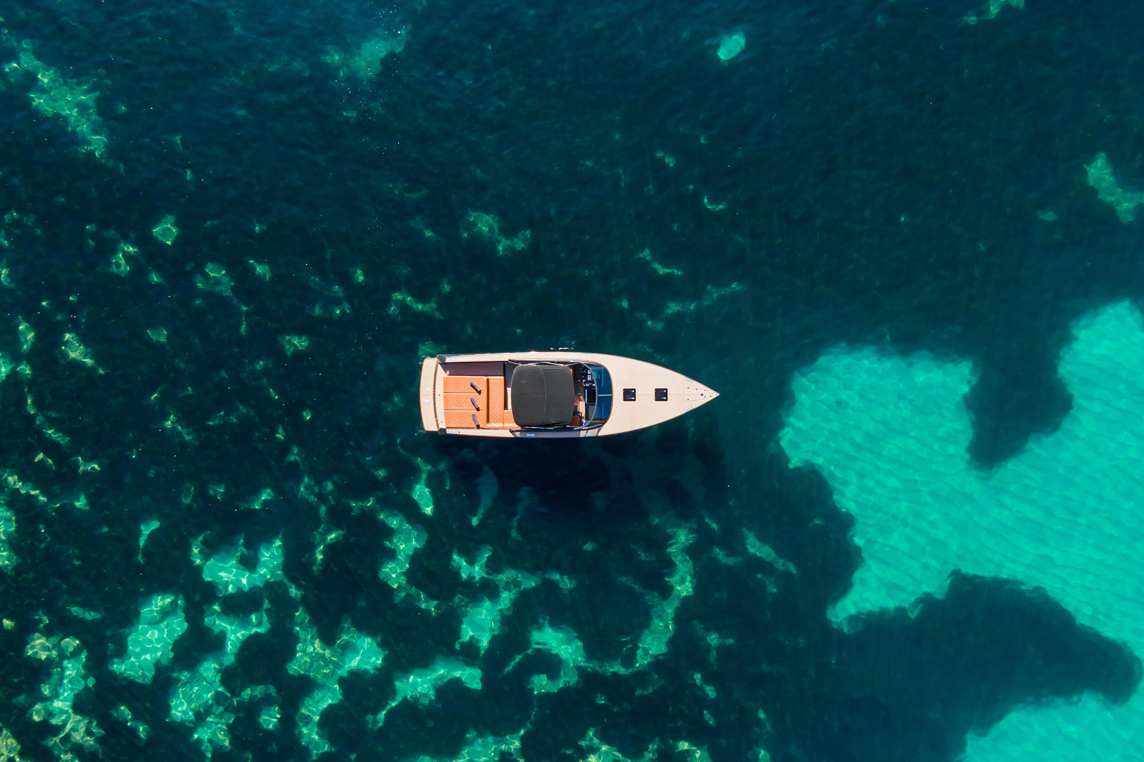 Beluga Charter Boat