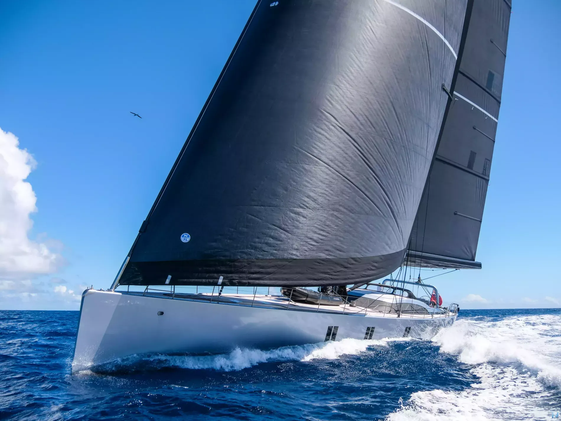 Чартер Sharlou - 4