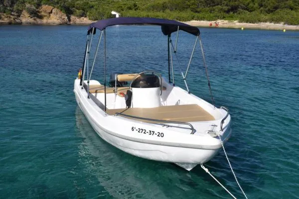 Torrevieja 4.5m Kiralık Motorlu Tekne Voraz 450