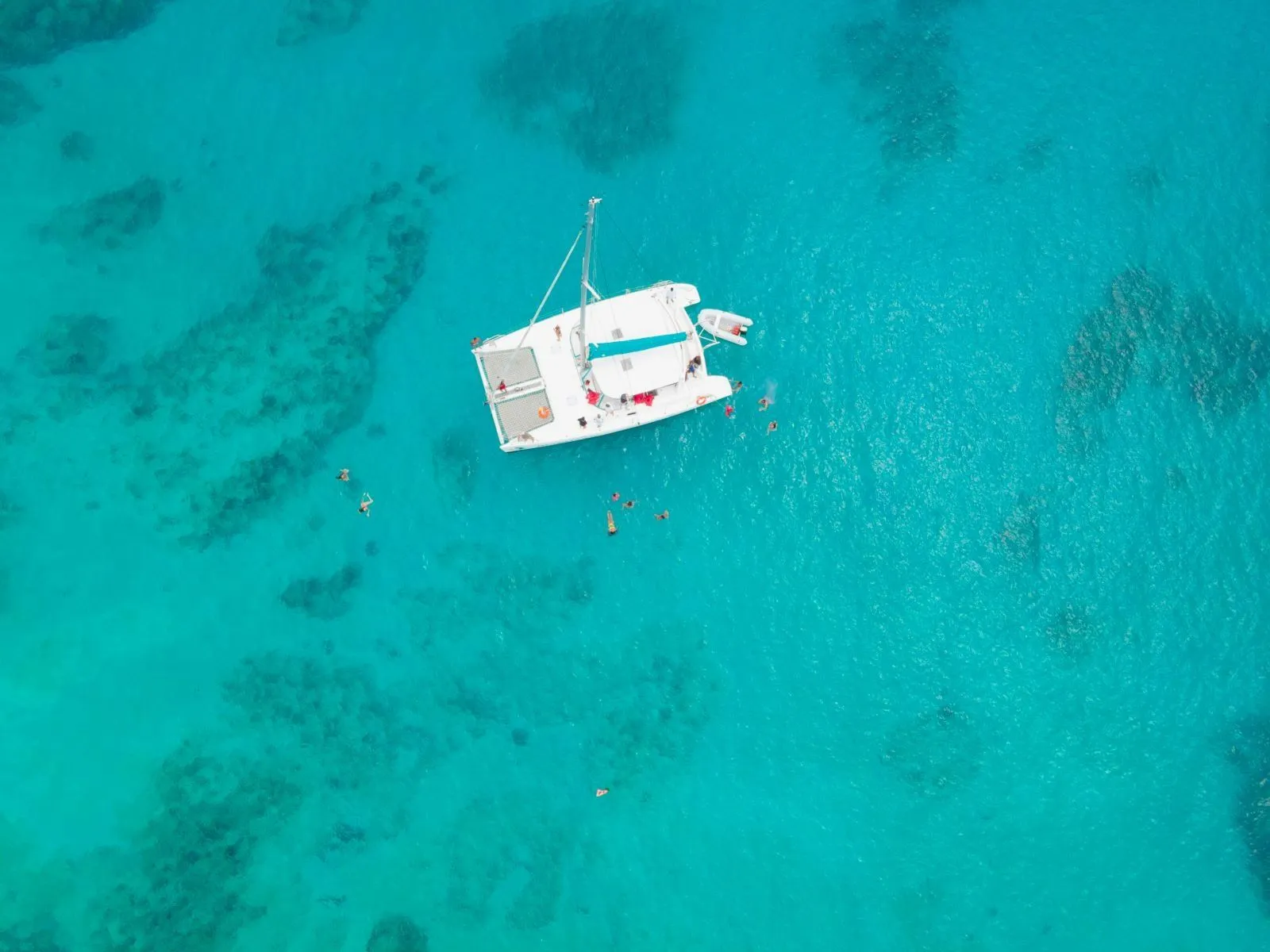 Ms Aristo Kat Charter Boat