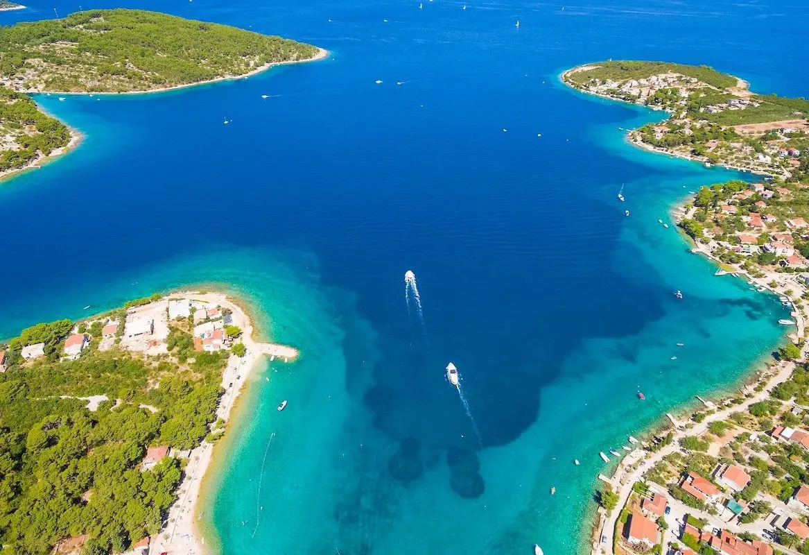 Rogač
