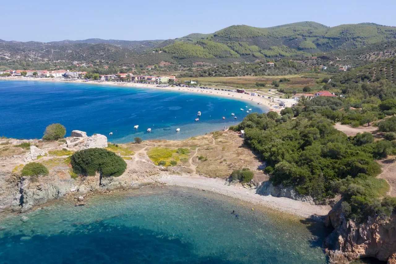 Toroni