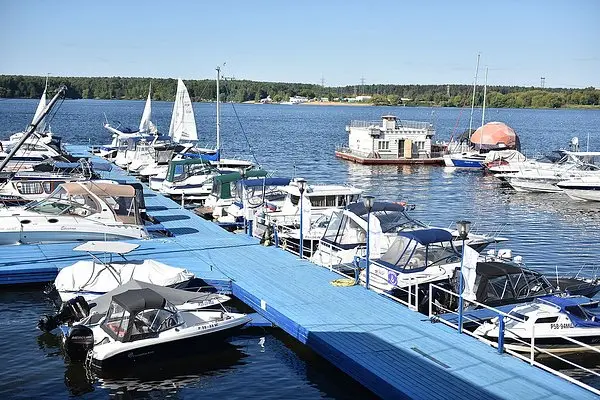 Povedniki
